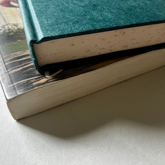 Tom Sawyer + Huckleberry Finn Book Duo - Picture 2 of 4